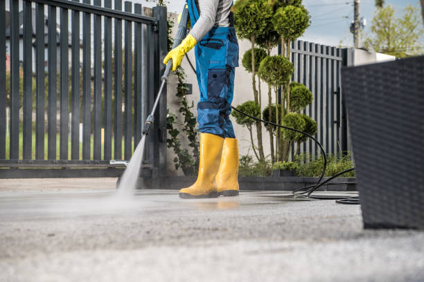 Best Local Pressure Washing Services  in University At Buffalo, NY
