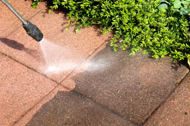 Best House Pressure Washing  in University At Buffalo, NY