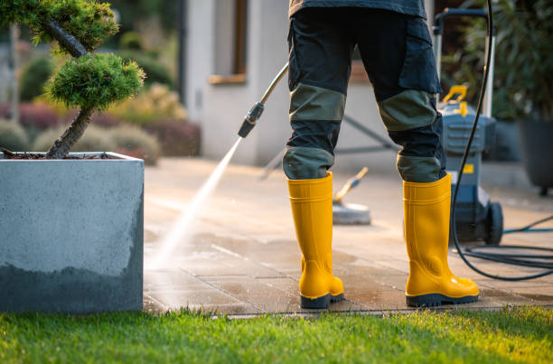 Best Roof Pressure Washing  in University At Buffalo, NY